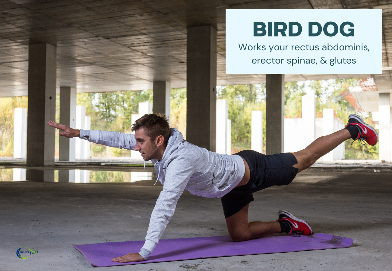 How To Strengthen Your Core Exercises For All Fitness Levels Project How To Strengthen Your Core Exercises For All Fitness Levels Project